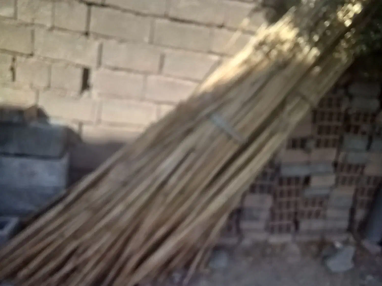 نی تمیز و پاک شده|سازهای سنتی|ایوان, |دیوار