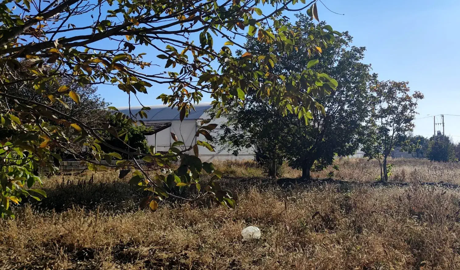 فروش یک قطعه زمین کشاورزی مناسب جهت احداث گلخانه|فروش زمین و ملک کلنگی|عسگران, |دیوار