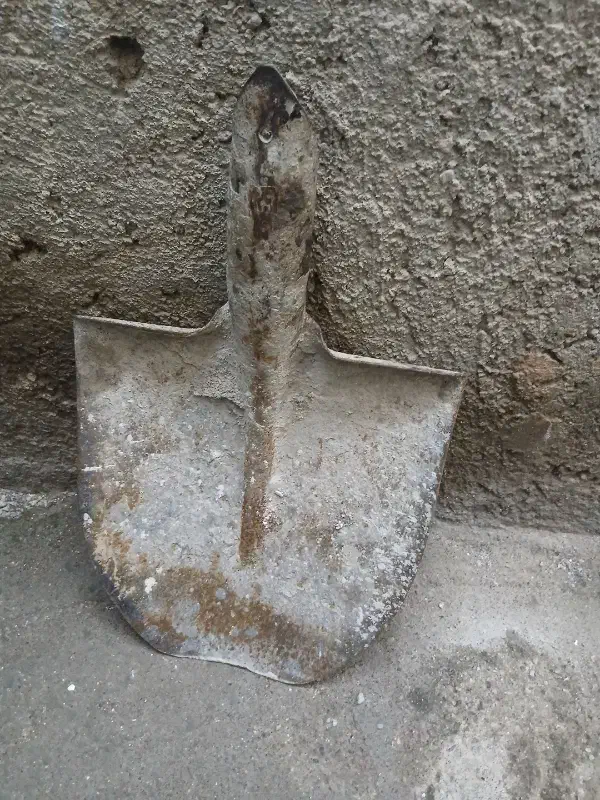 بیل|کلکسیون و سرگرمی|اردبیل, |دیوار