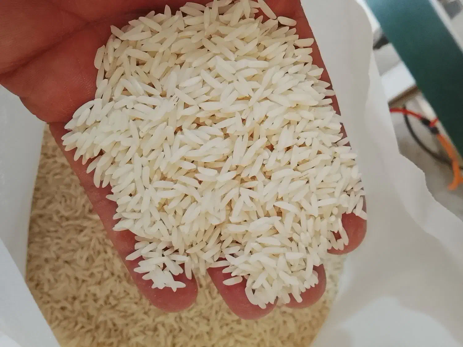 برنج فروشی|خوردنی و آشامیدنی|رضوانشهر, |دیوار