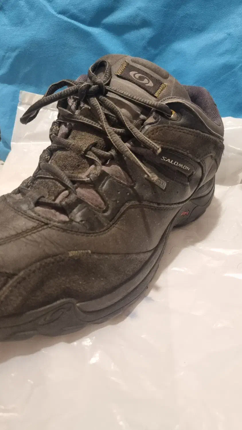 کفش تراکینگ سالمون|کیف، کفش، کمربند|همدان, |دیوار