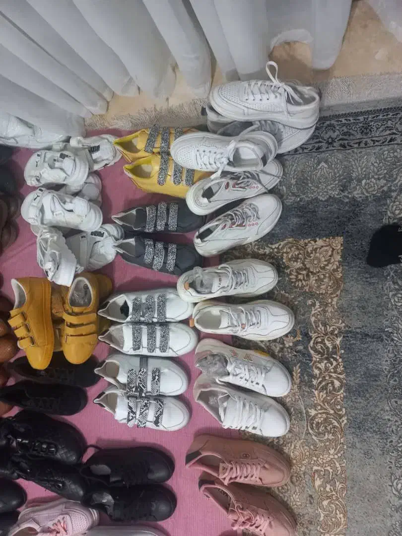 کفش نو|کیف، کفش، کمربند|دورود, |دیوار