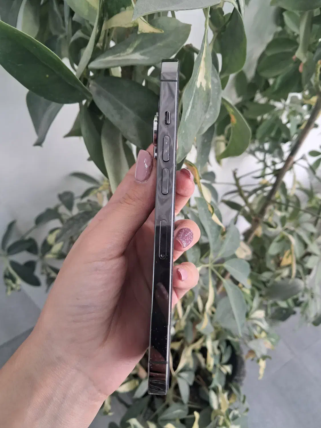 اپل۱۳ پرو|موبایل|قدس, شهرقدس|دیوار