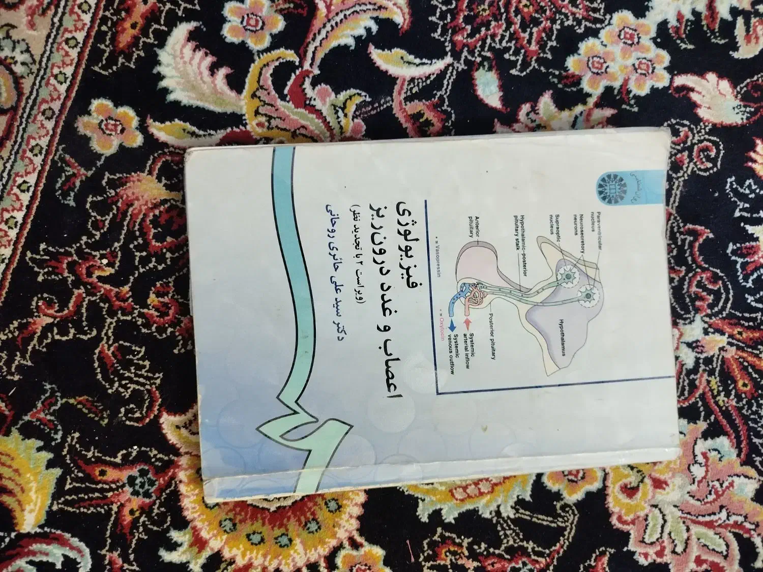 کتاب زبان و فیزیولوژی دانشگاهی|کتاب و مجله آموزشی|قم, شهرک امام حسن|دیوار