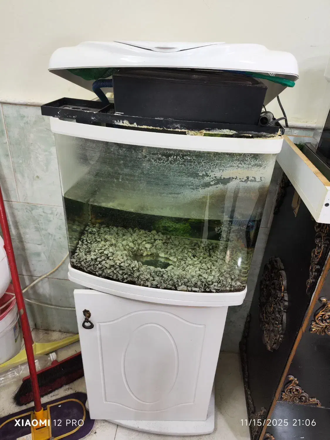 آکواریوم و ماهی|ماهی|کاشان, فاز ۲ ناجی آباد|دیوار