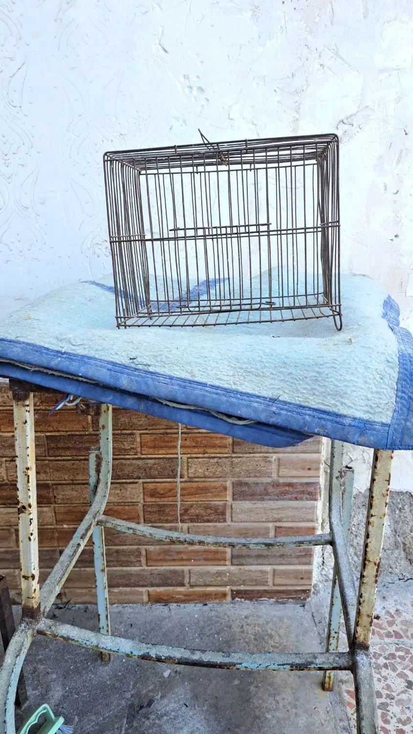 قفس|لوازم جانبی حیوانات|باوی, |دیوار