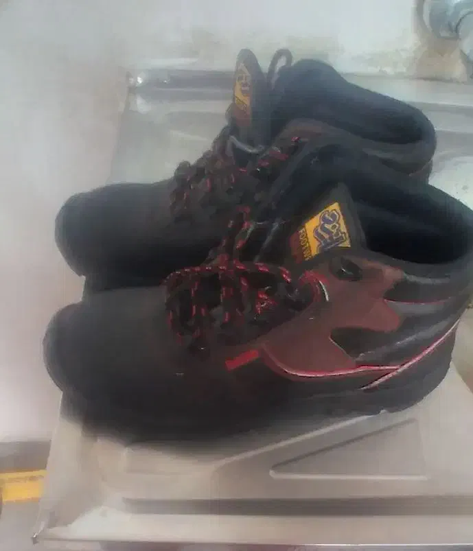 سلام|کیف، کفش، کمربند|آذرشهر, |دیوار