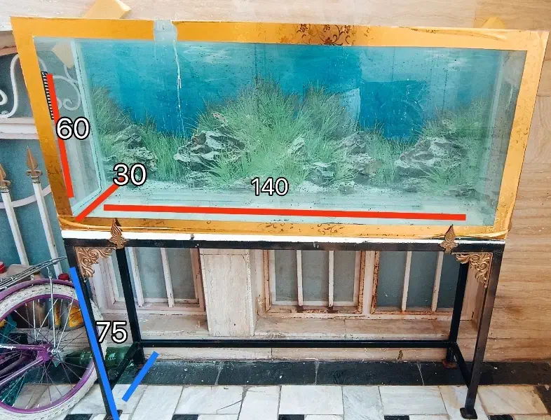 اکواریوم و پایه فلزی|ماهی|قم, شاه ابراهیم|دیوار