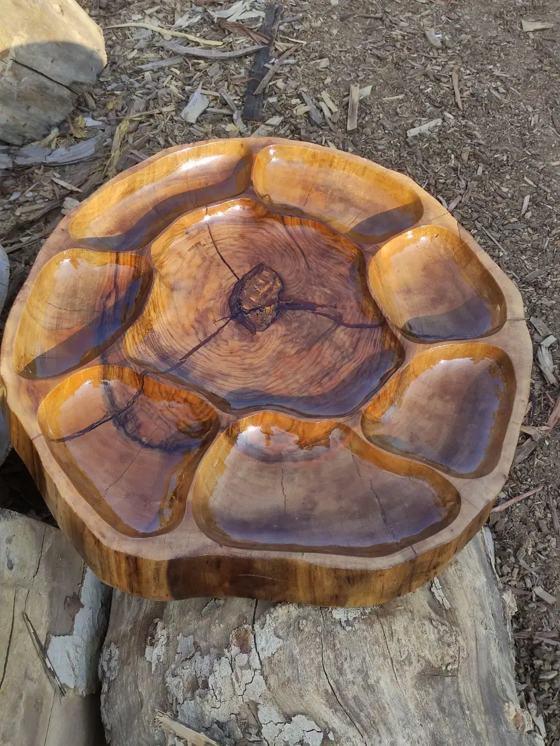 اجاره میز مزه|ظروف سرو و پذیرایی|شیراز, شهرک مهدیه|دیوار