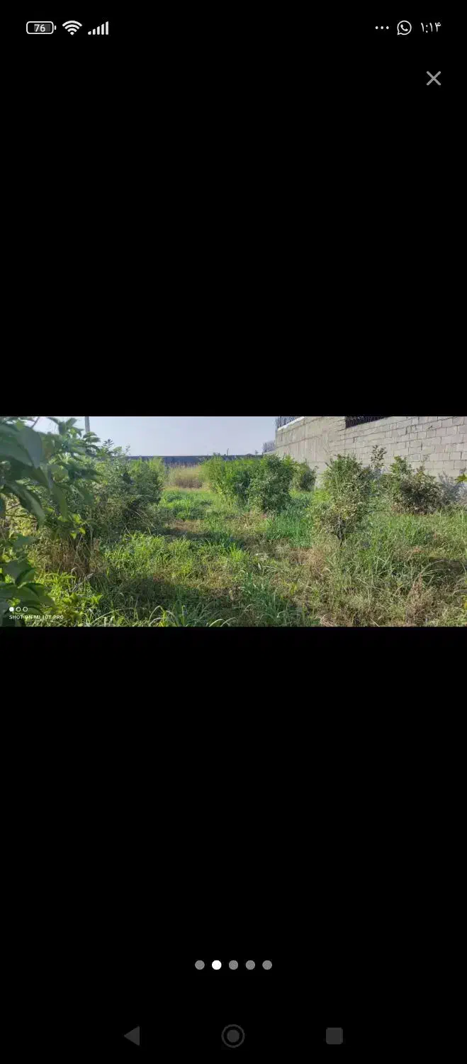 زمین باغی|فروش زمین و ملک کلنگی|دزفول, |دیوار