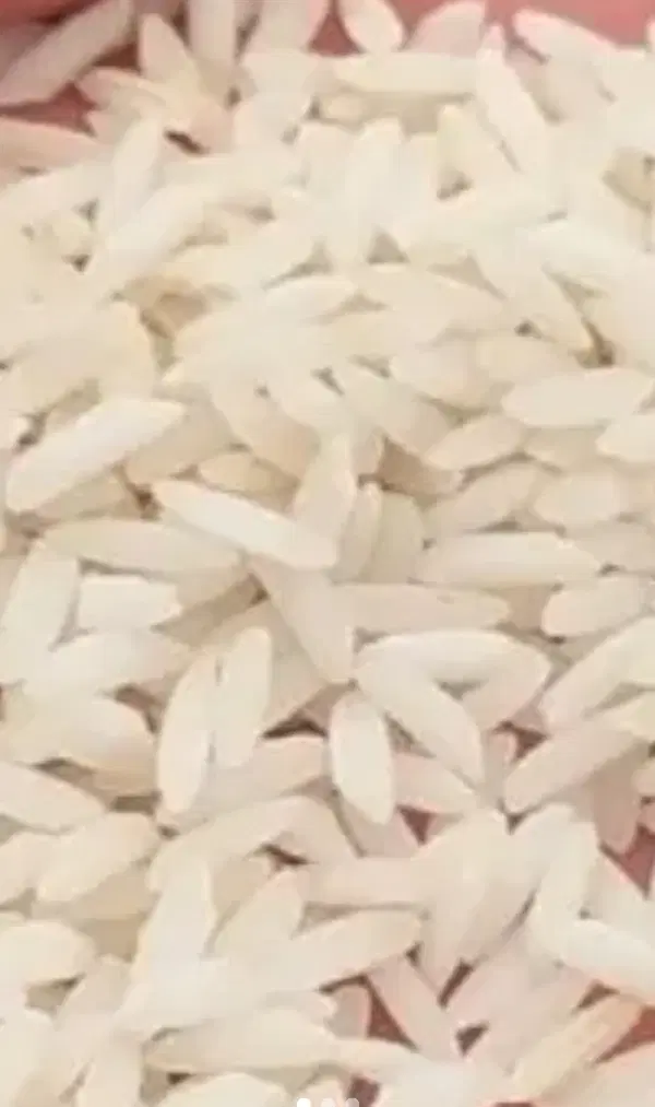 برنج|خوردنی و آشامیدنی|دورود, |دیوار