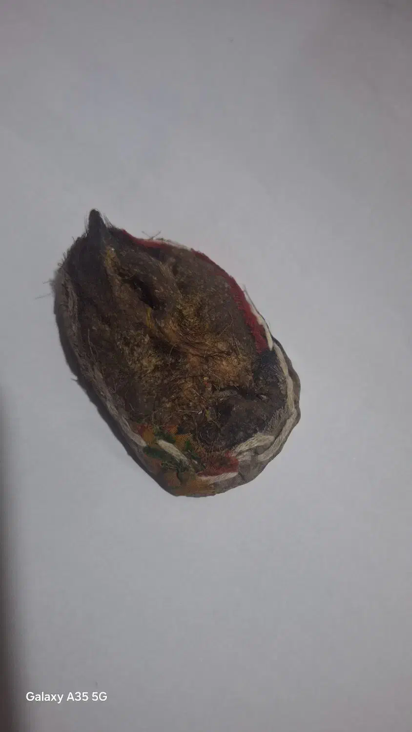 سلیمانی|بدلیجات|اهواز, کمپلو جنوبی|دیوار