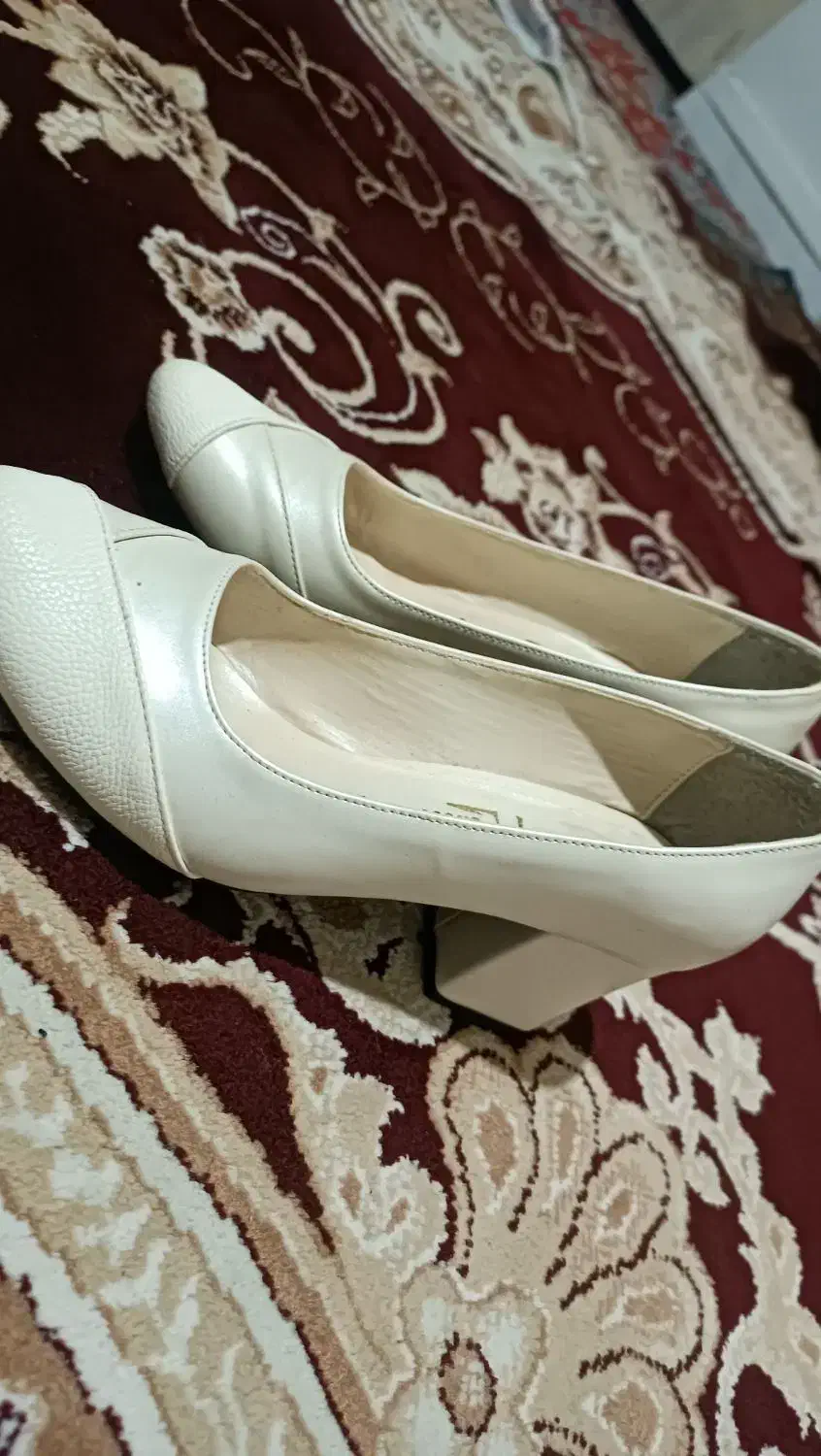 کفش نو|کیف، کفش، کمربند|سبزوار, چهارراه فرودگاه|دیوار