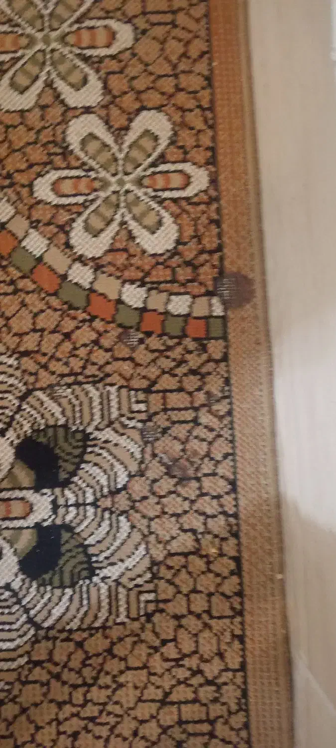 گلیم 1در 5|گلیم، جاجیم، گبه|سبزوار, میدان بار|دیوار