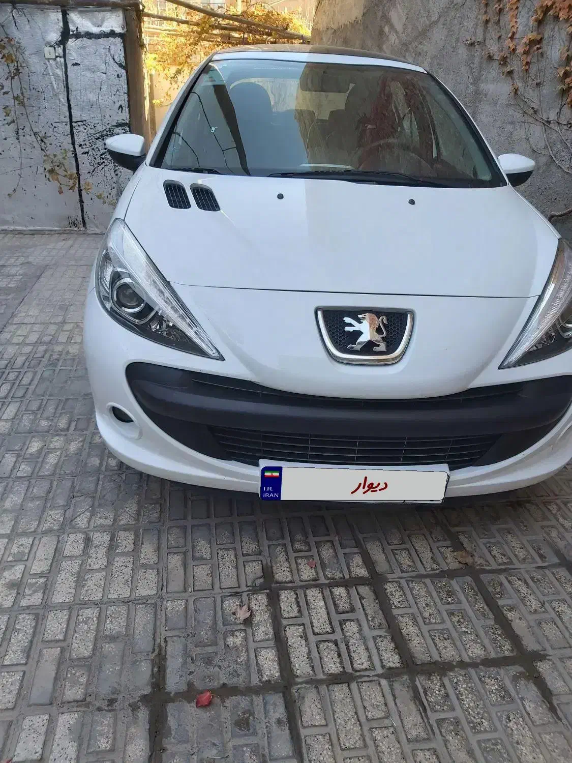 ۲۰۷ پانا|خودرو سواری و وانت|قوچان, |دیوار