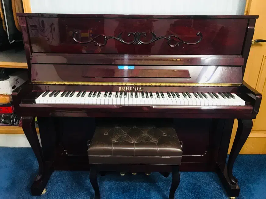 پیانو بوهمیا|پیانو، کیبورد، آکاردئون|اصفهان, پروین|دیوار