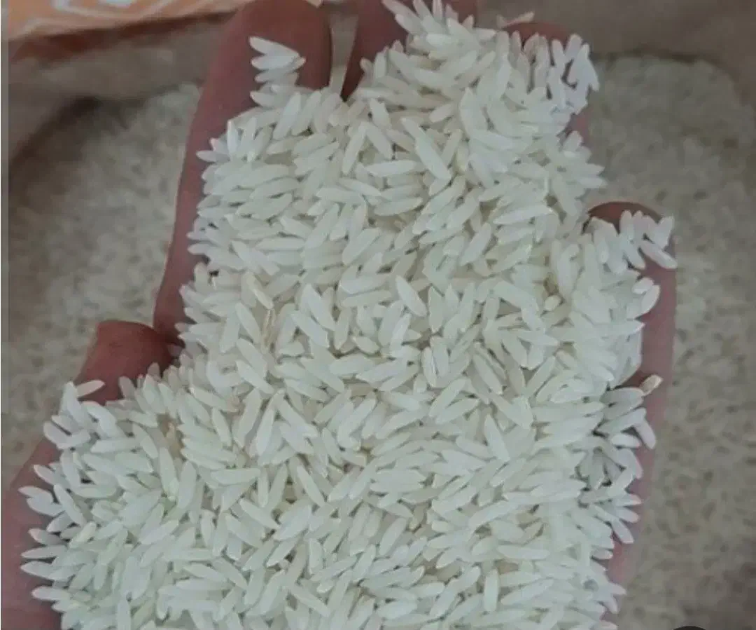 برنج هاشمی درجه یک|خوردنی و آشامیدنی|رشت, آزادگان|دیوار