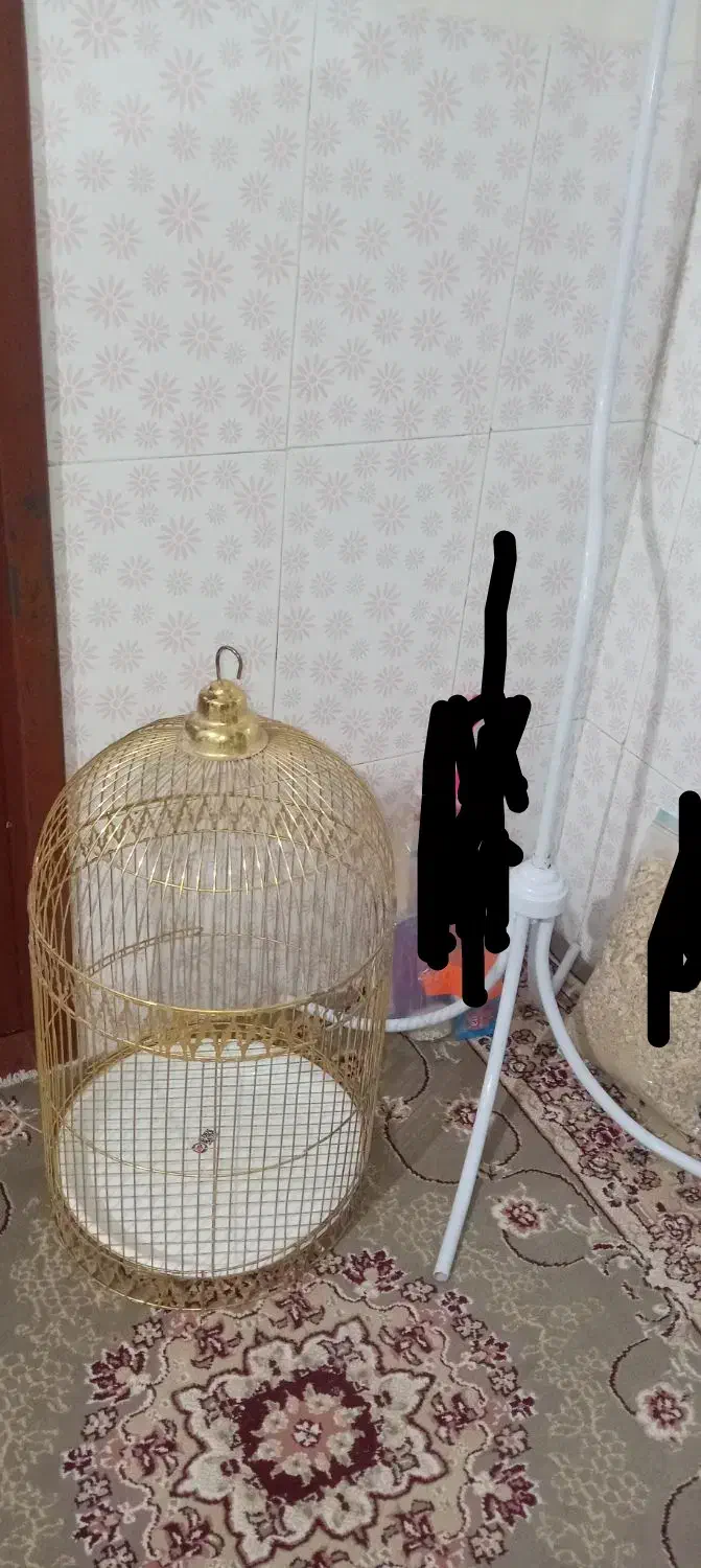 قفس گرد نو|لوازم جانبی حیوانات|قهستان, |دیوار