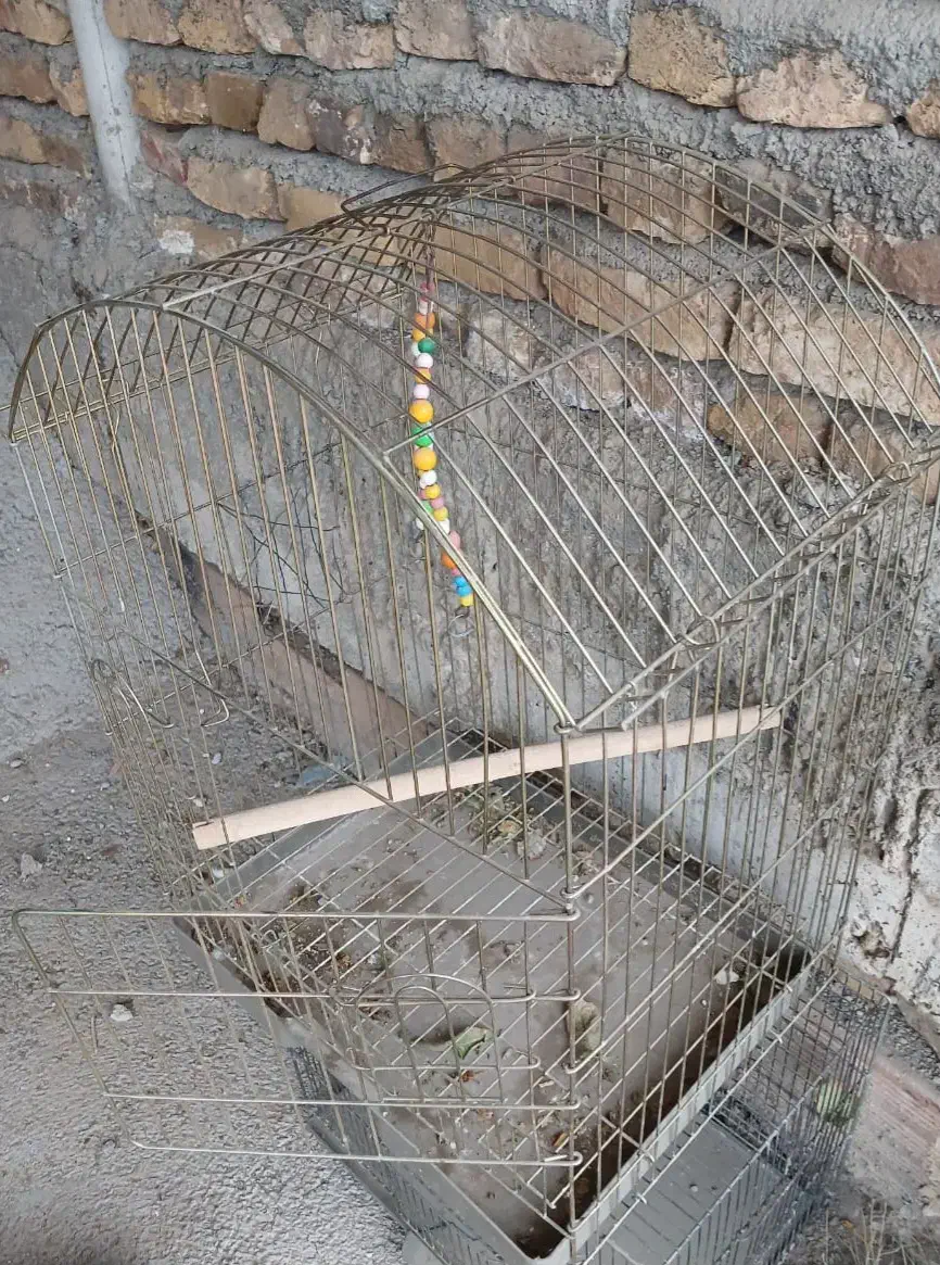 قفس پرنده 100و200|لوازم جانبی حیوانات|ماکو, |دیوار