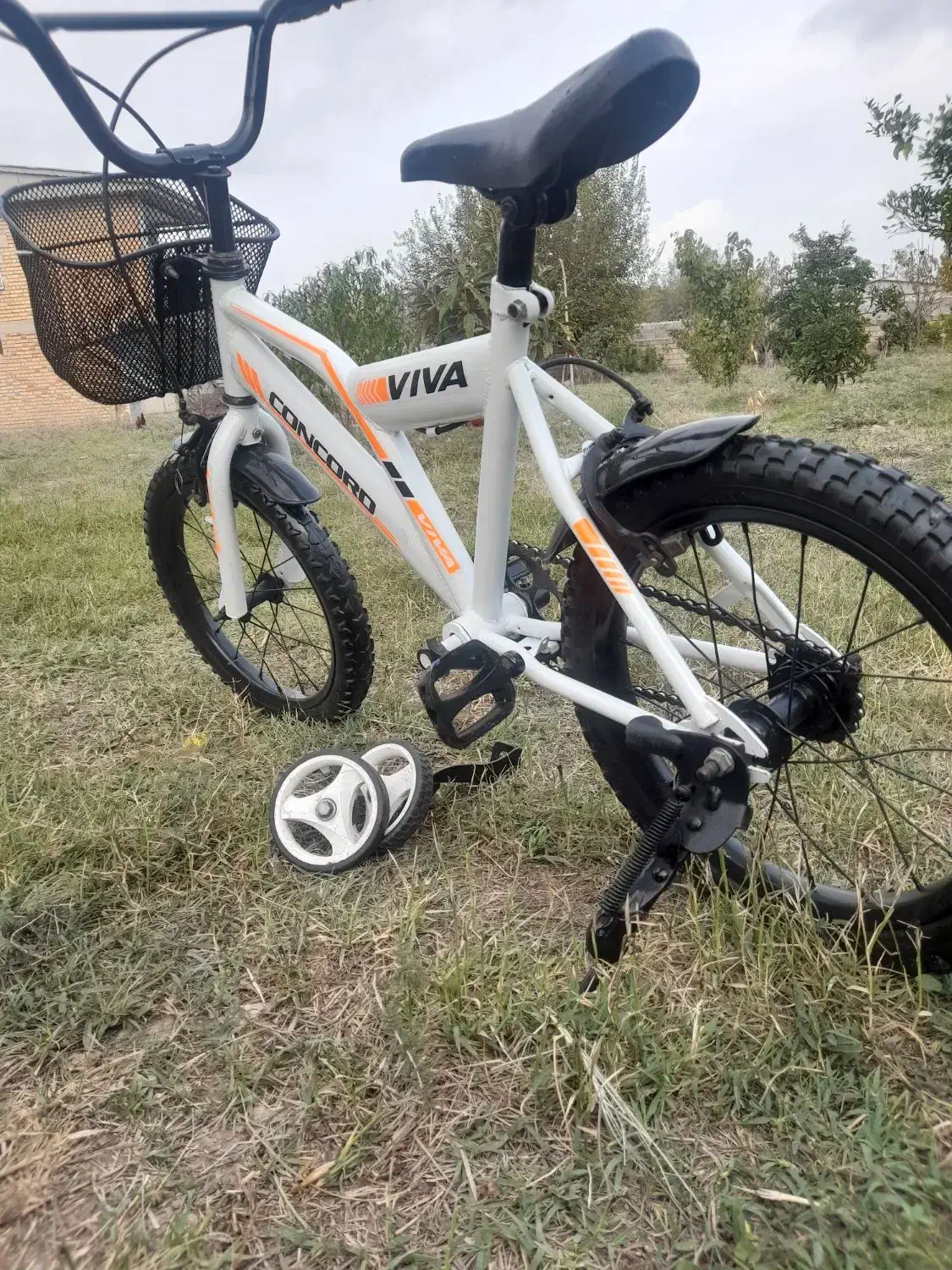 دوچرخه سایز۱۶|دوچرخه، اسکیت، اسکوتر|گنبد کاووس, |دیوار