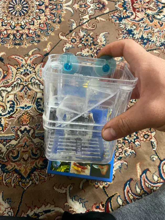 لوازم اکواریوم|ماهی|تهران, کیانشهر|دیوار