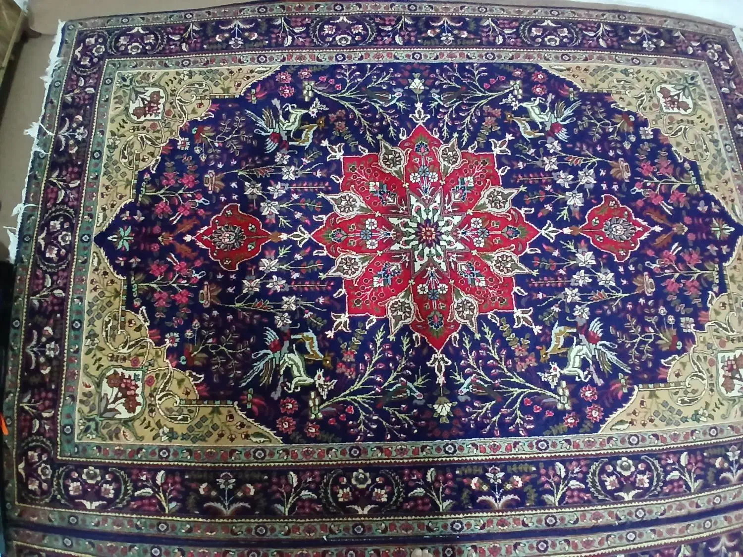 یک جفت فرش|فرش|مرند, |دیوار