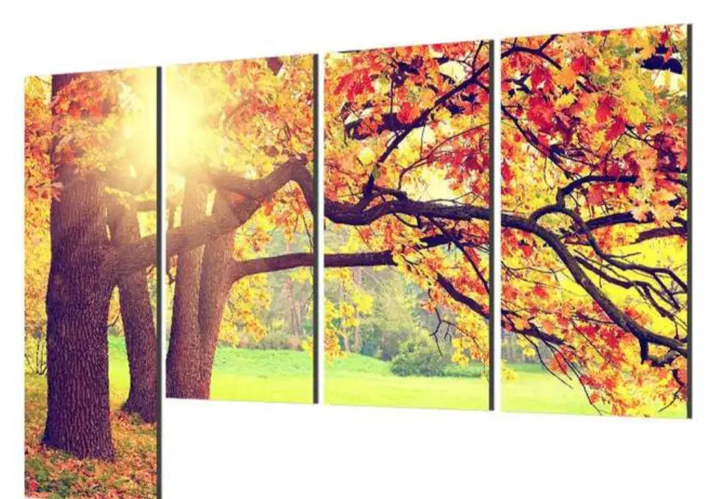 تابلو چهار تیکه|تابلو، نقاشی، عکس|اردبیل, |دیوار