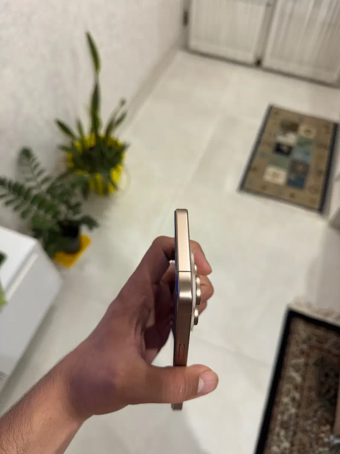 Iphone 16 pro max|موبایل|گرگان, |دیوار