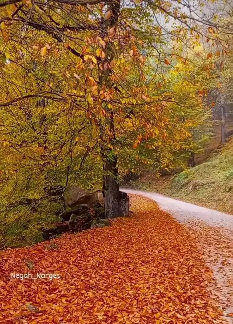 خط رند|سیم‌کارت|بابل, |دیوار