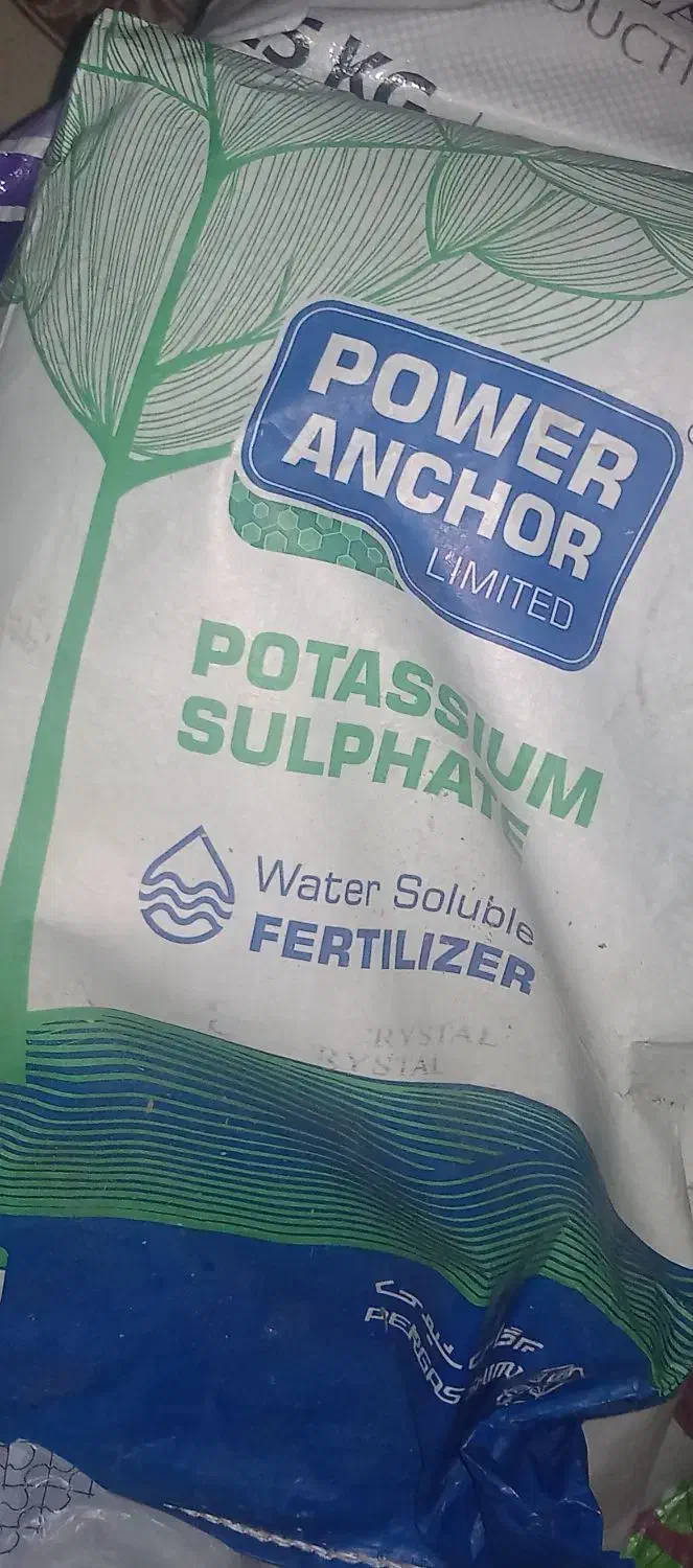 نیترات کلسیم|خدمات باغبانی و درختکاری|خان ببین, |دیوار