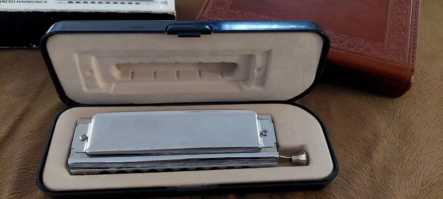 ساز دهنی|سازهای بادی|خرمآباد, |دیوار