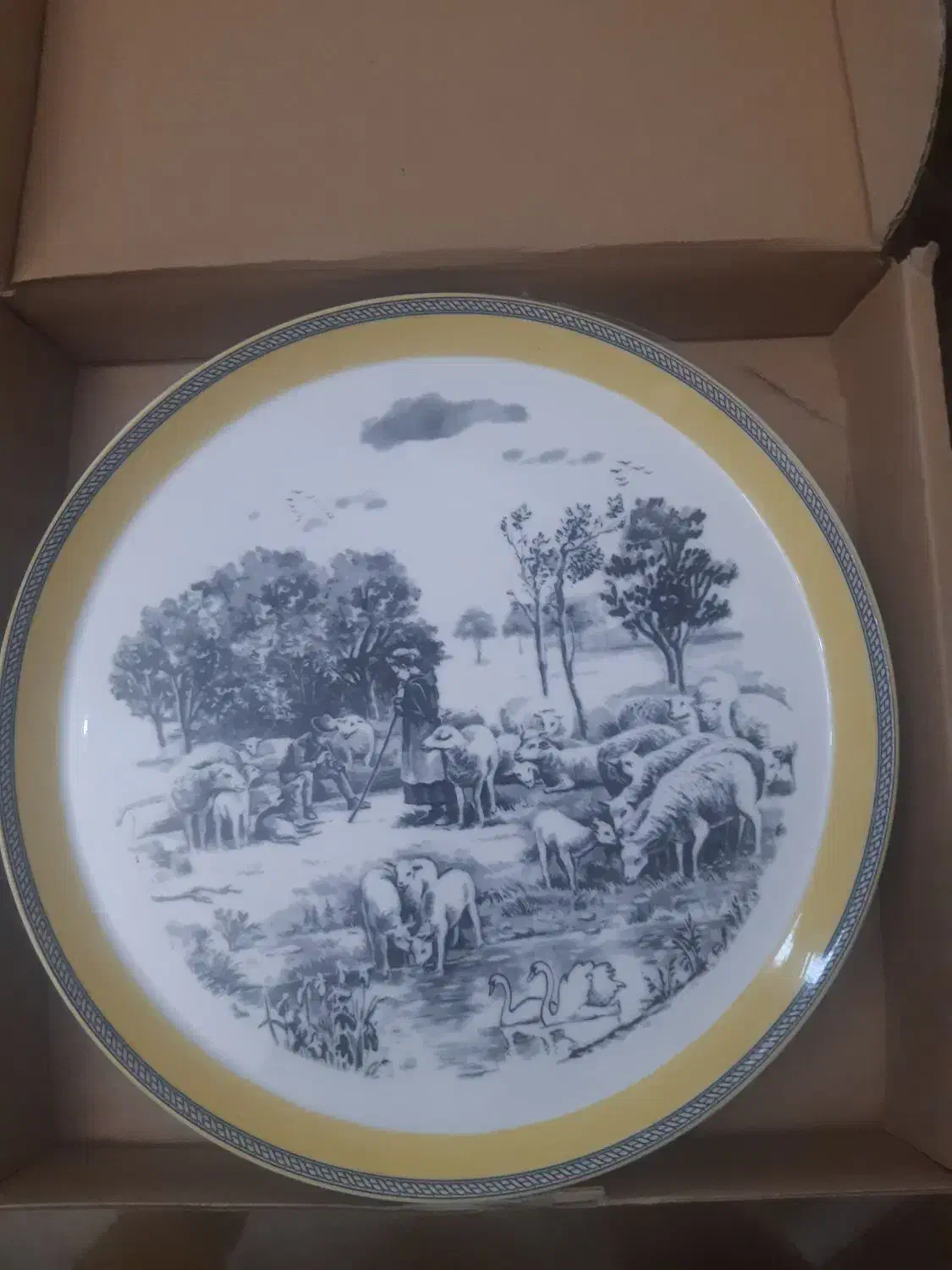 دیس های چینی بسیار زیبا و دیس ماهی نو با جعبه|ظروف سرو و پذیرایی|تهران, اباذر|دیوار