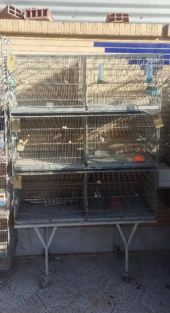 قفس پژاوندی ۶ خان|لوازم جانبی حیوانات|زرند, |دیوار