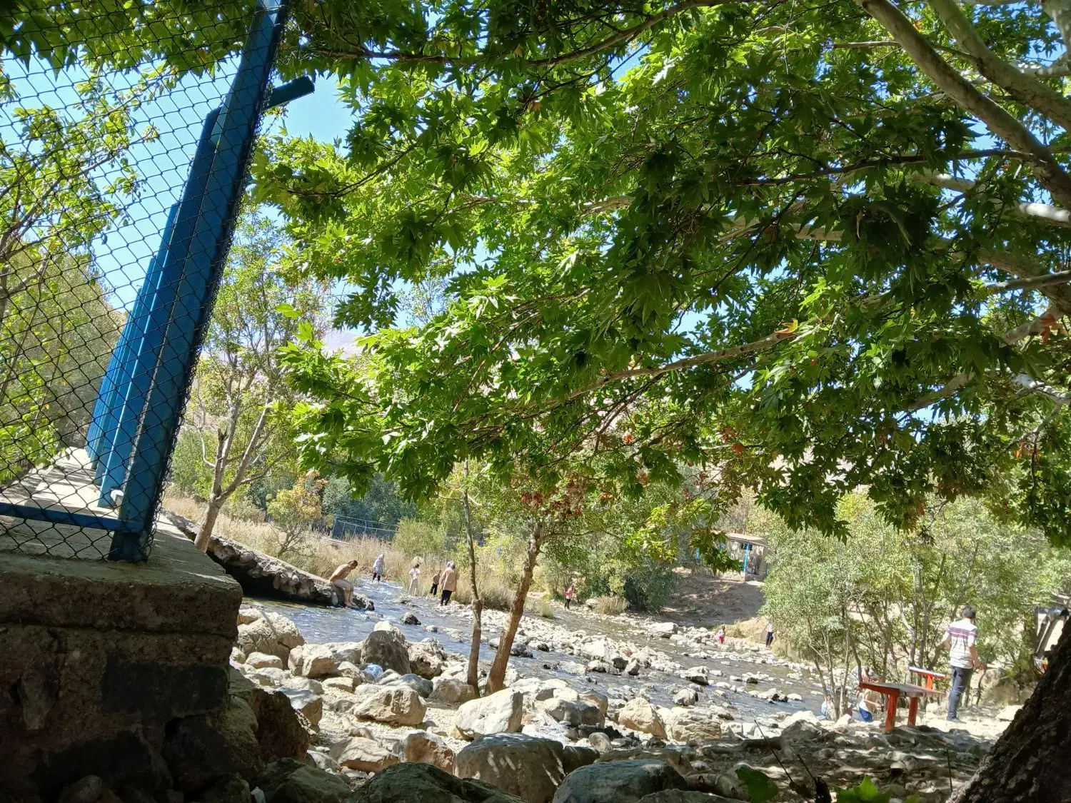 پروانه کسب گم شده|اشیا|نهاوند, |دیوار