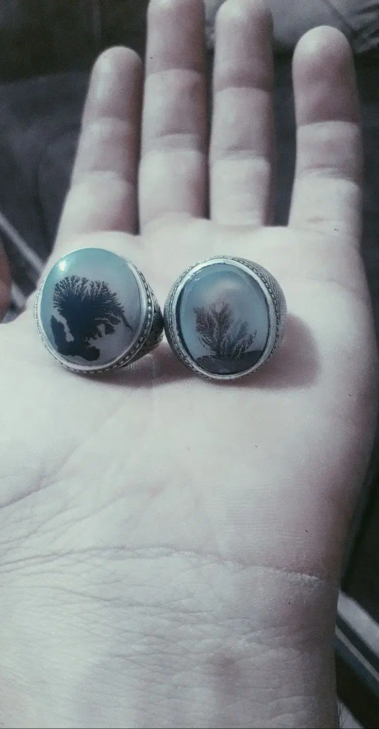 انگشتر شجرهای کلکسیونی و اشیای عتیقه|کلکسیون اشیاء عتیقه|قوچان, |دیوار