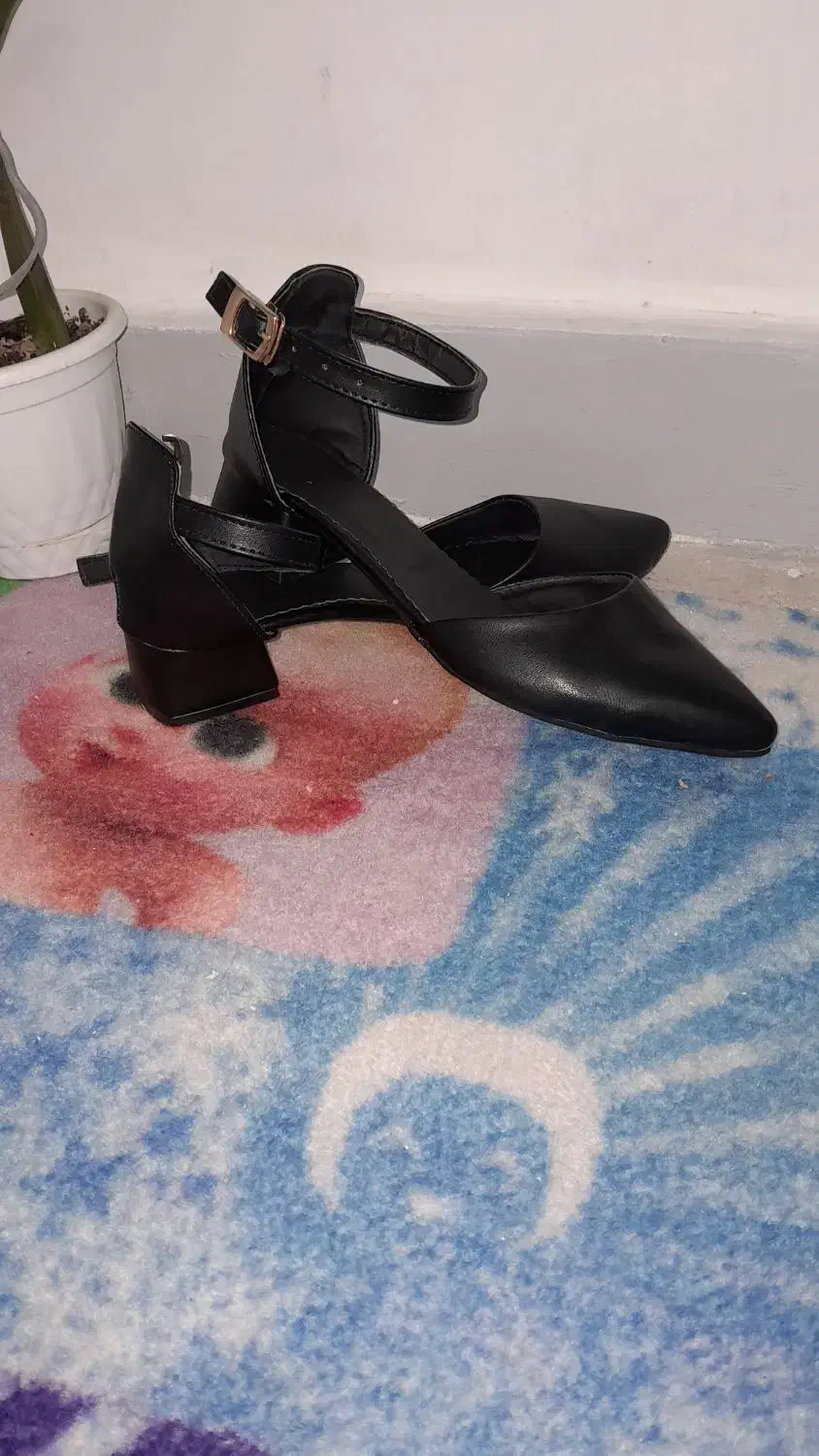 کفش مجلسی|کیف، کفش، کمربند|زاهدان, |دیوار