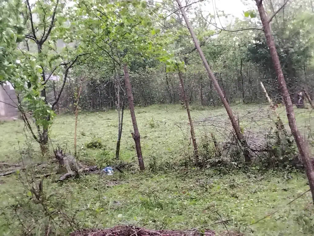 فروش زمین مسکونی در  پونل /  دوران|فروش زمین و ملک کلنگی|رضوانشهر, |دیوار