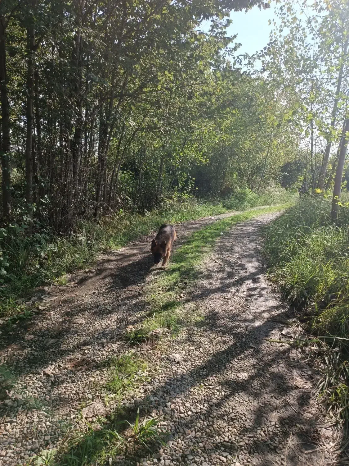 اجاره ویلا|اجارهٔ کوتاه‌مدت ویلا و باغ|احمدسرگوراب, |دیوار