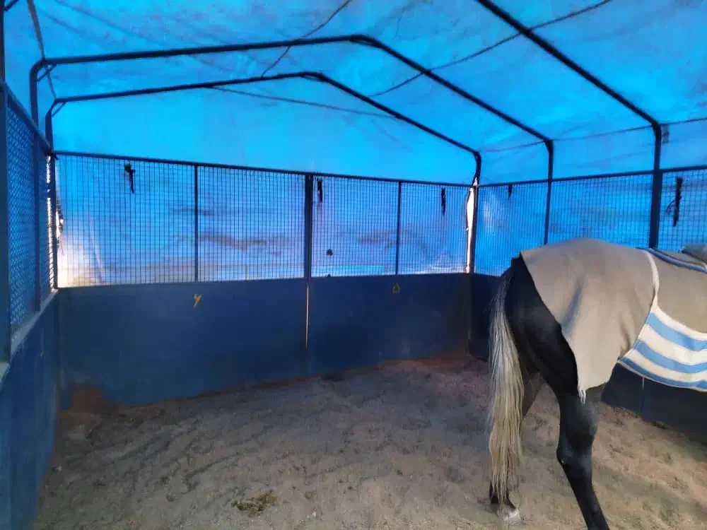 باکس سیار اسب|اسب و تجهیزات اسبسواری|تهران, آشتیانی|دیوار