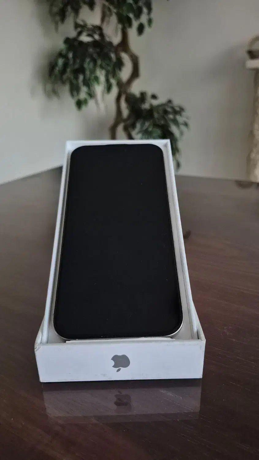 iphone promax 256 natural|موبایل|تهران, دزاشیب|دیوار