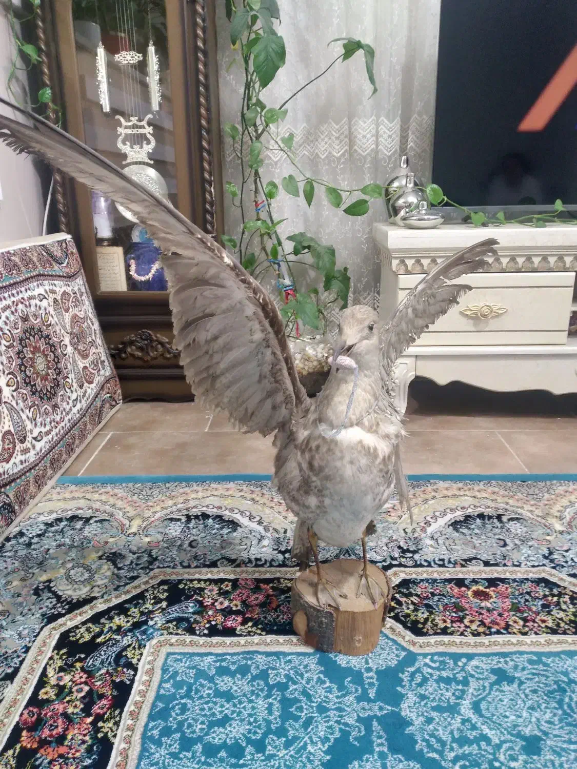 پرنده|مجسمه، تندیس، ماکت|قرچک, باقرآباد|دیوار