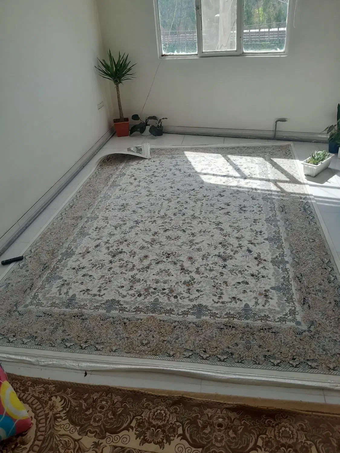 فرش 9 متری ماشینی روژان طرح افشان مناسب جهیزیه|فرش|پاکدشت, پاکدشت (مامازند)|دیوار