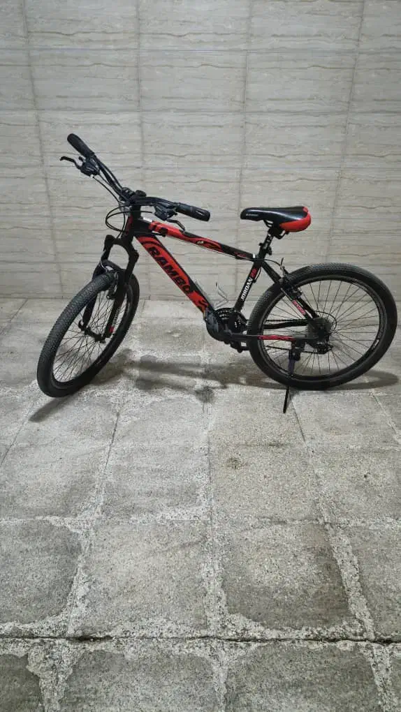 دوچرخه رنیو|دوچرخه، اسکیت، اسکوتر|رودهن, |دیوار