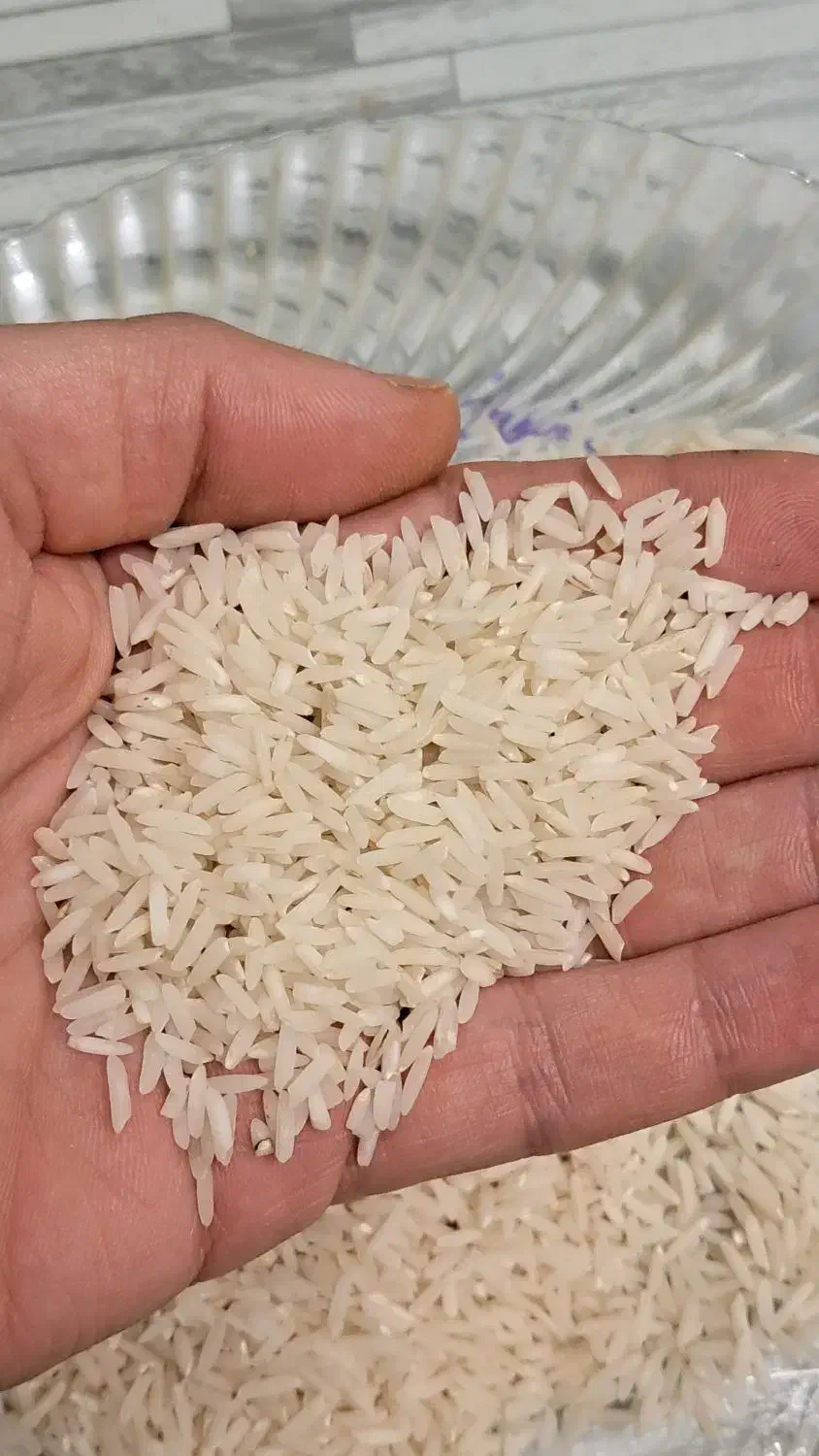 فروش برنج هاشمی|خوردنی و آشامیدنی|لنگرود, |دیوار