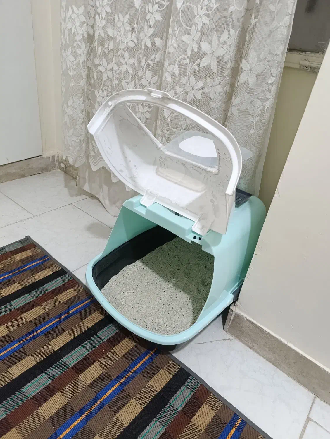 گربه|گربه|اسلام‌شهر, شهرک سالور|دیوار