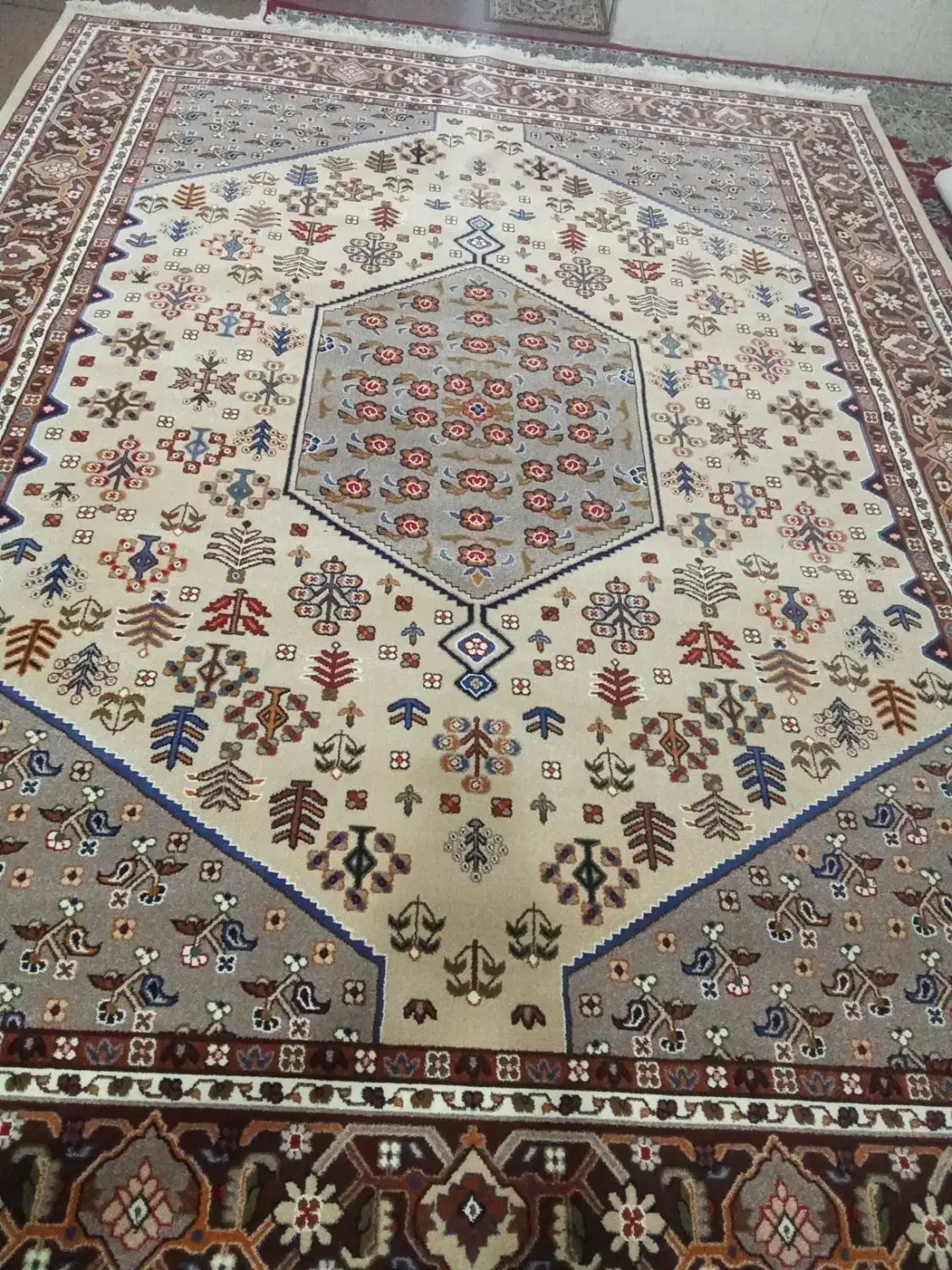 گلیم فرش ۴×۳|گلیم، جاجیم، گبه|یزد, |دیوار