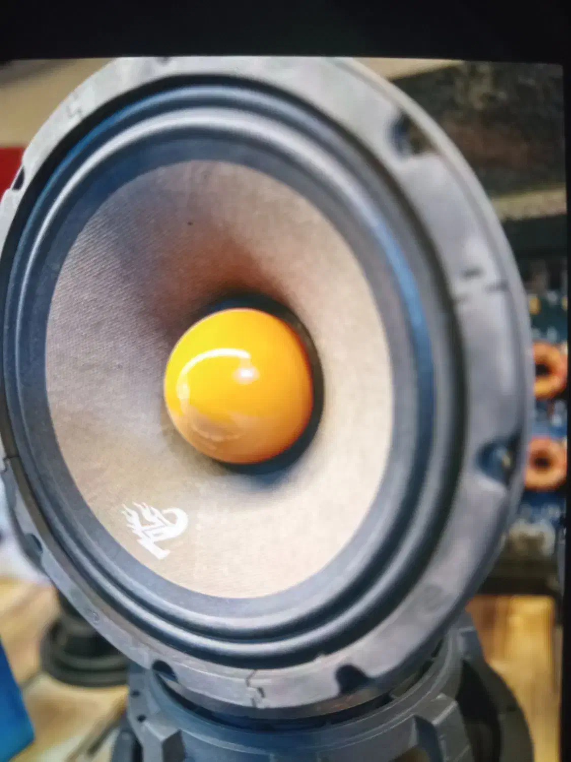 سیستم صوتی مانیتور اقساطی ۲ تا ۸ ماه بدون پیش|قطعات یدکی و لوازم جانبی|تبریز, |دیوار