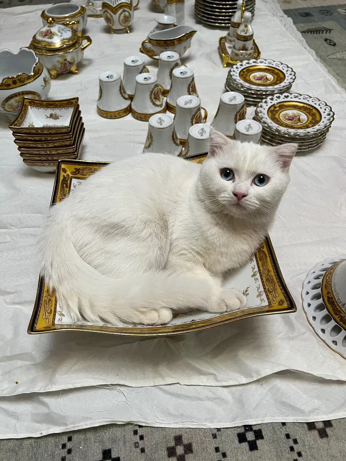 دانسی و لردشید طلاکوب اصل و قدیمی|ظروف سرو و پذیرایی|کیاشهر, |دیوار