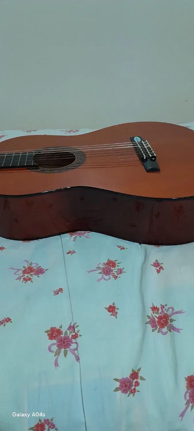 گیتار والنسیا اورجینال واقعی|گیتار، بیس، امپلیفایر|تهران, افسریه جنوبی|دیوار