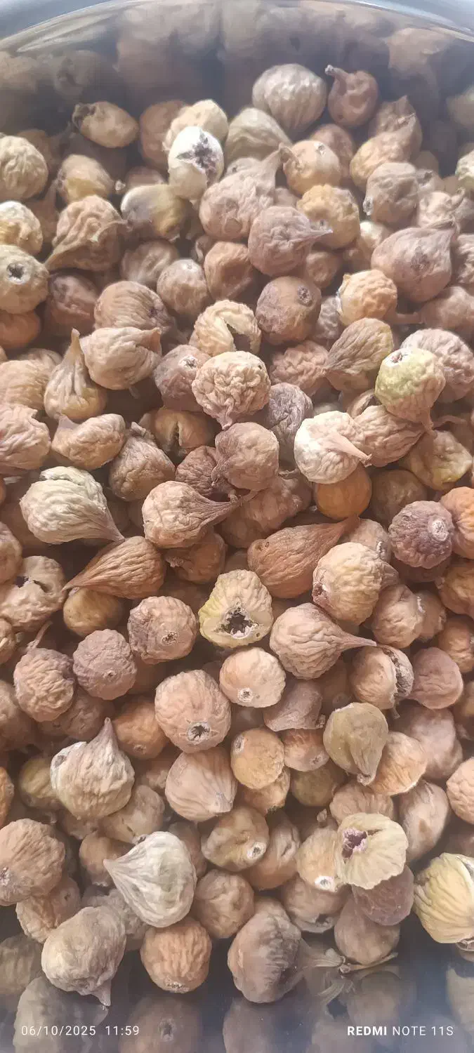 انجیر ومویز سیاه|خوردنی و آشامیدنی|شیراز, شهرک مدرس|دیوار